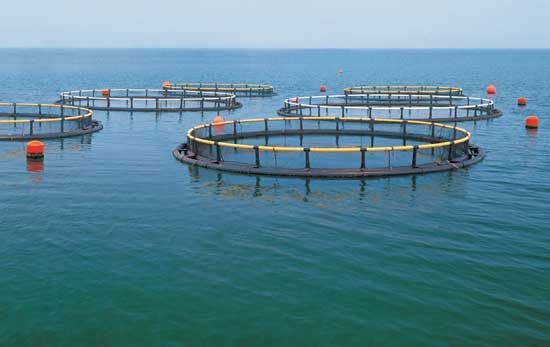 養殖廢水處理設備排水裝置應滿足的條件有哪些呢？